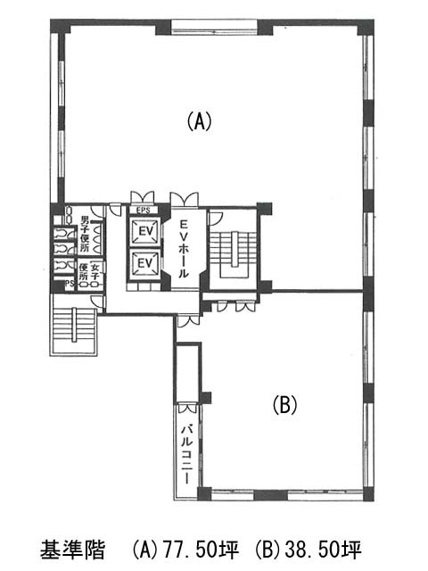 表示画像