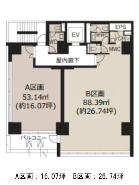 表示画像
