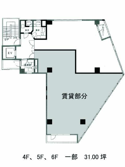 表示画像