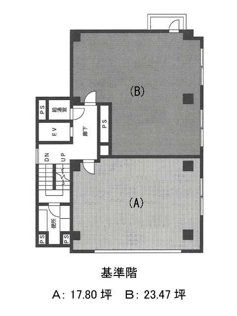 表示画像