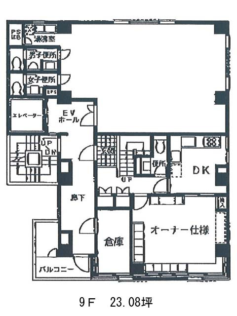 表示画像