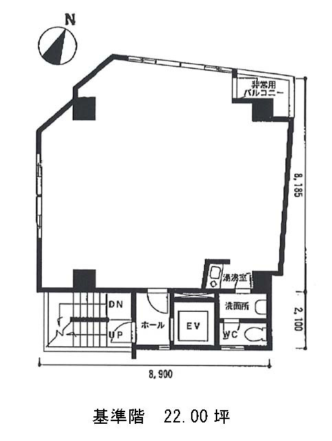 表示画像