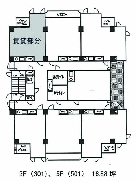 表示画像