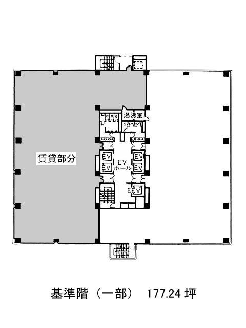 表示画像