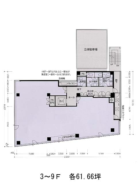 表示画像