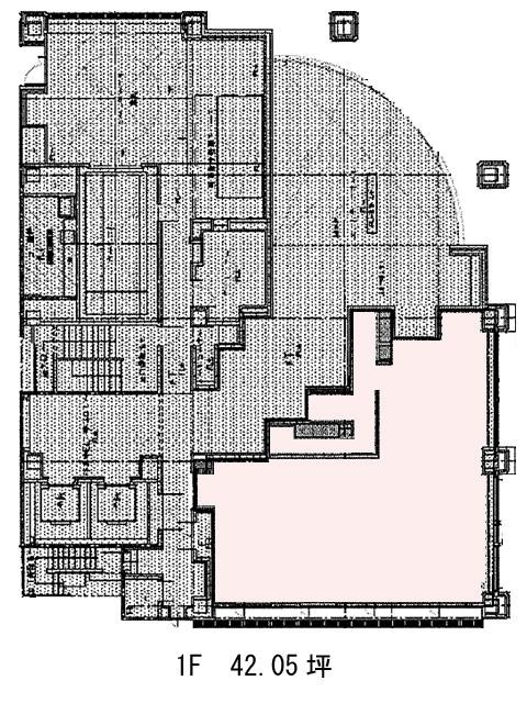 表示画像