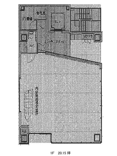 表示画像