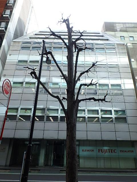 オーク銀座木挽町ビル外観②