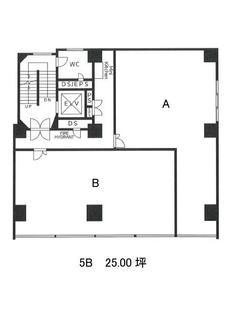 表示画像