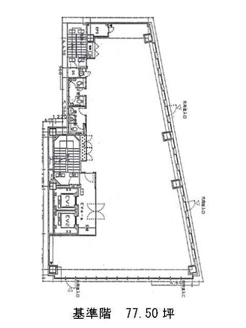 表示画像