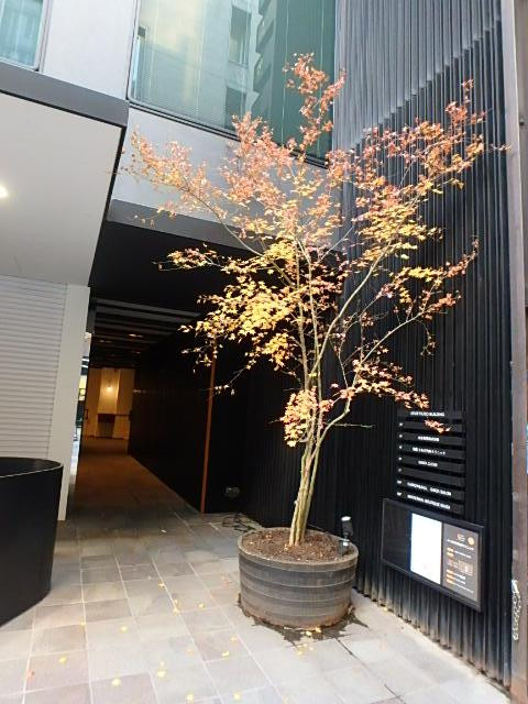 銀座清月堂ビルエントランス②