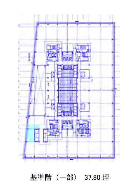 表示画像