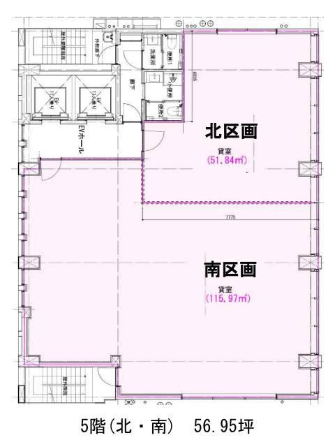 表示画像