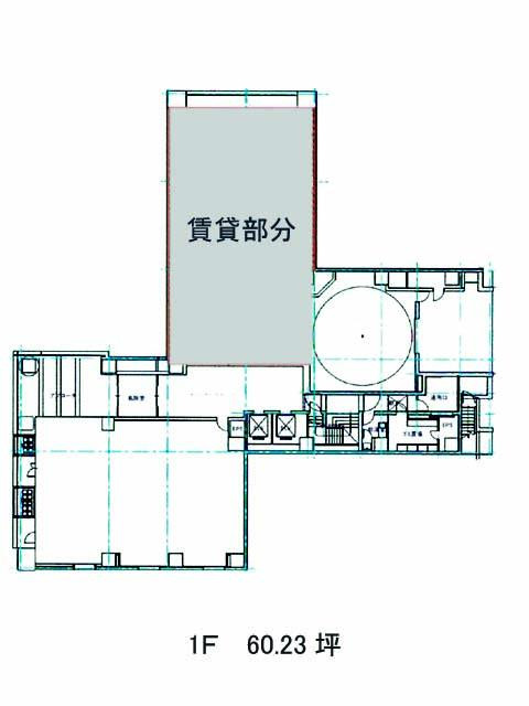 表示画像