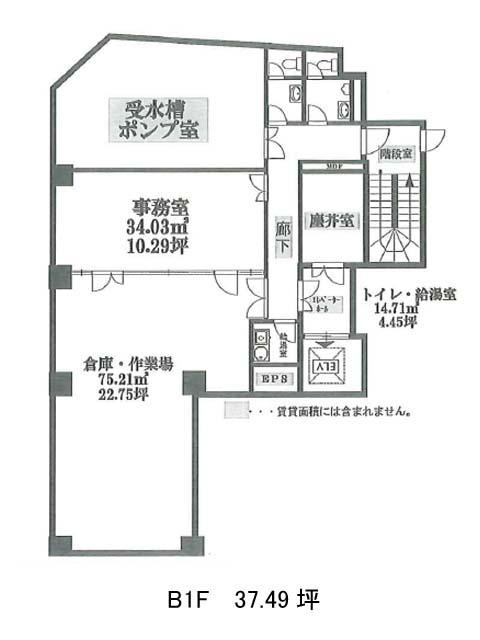 表示画像