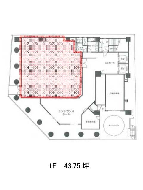 表示画像