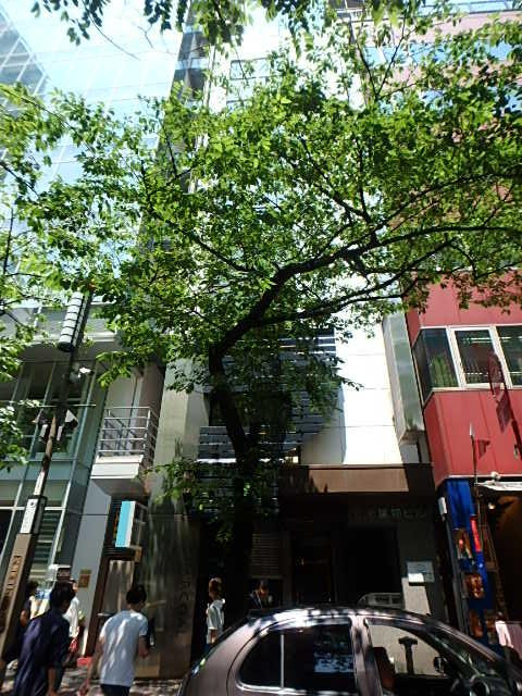 荘栄建物ビル外観②