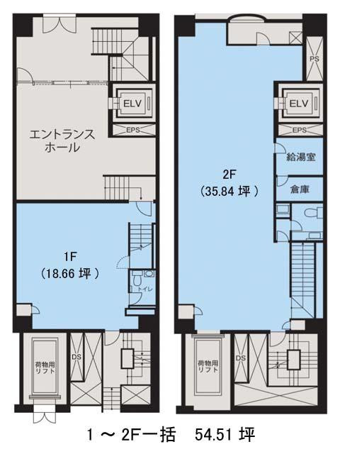 表示画像