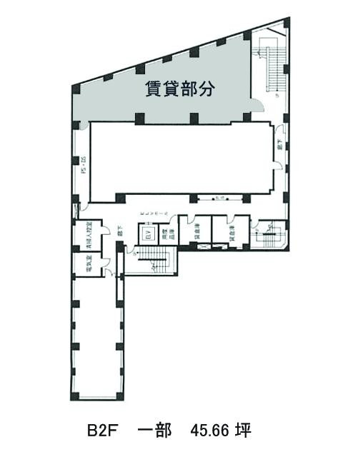 表示画像