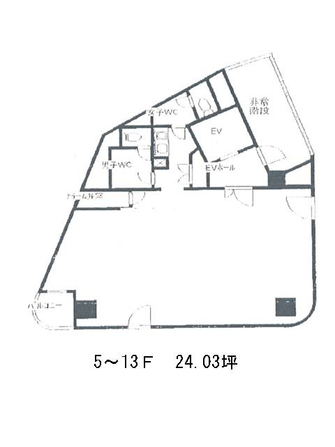 表示画像