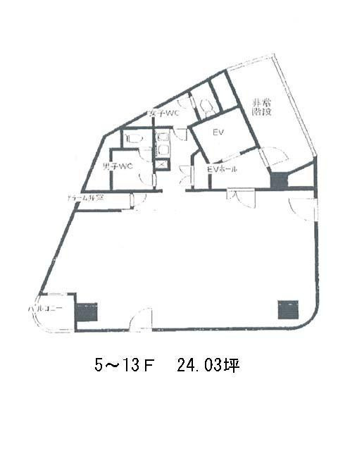 表示画像