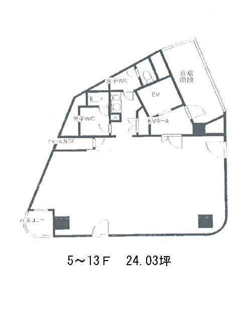 表示画像