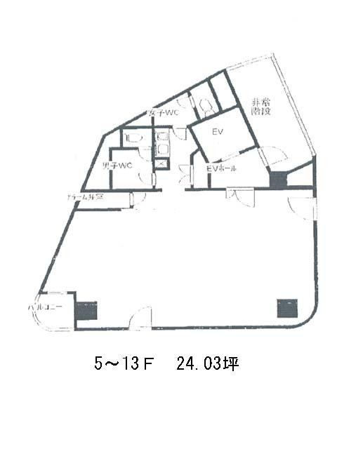 表示画像