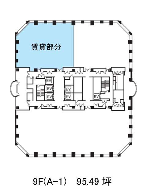 表示画像
