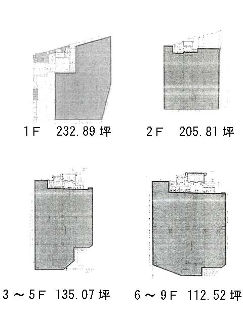 表示画像