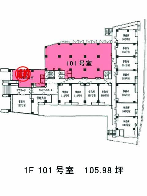 表示画像