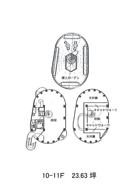 表示画像