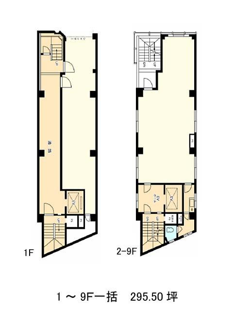 表示画像