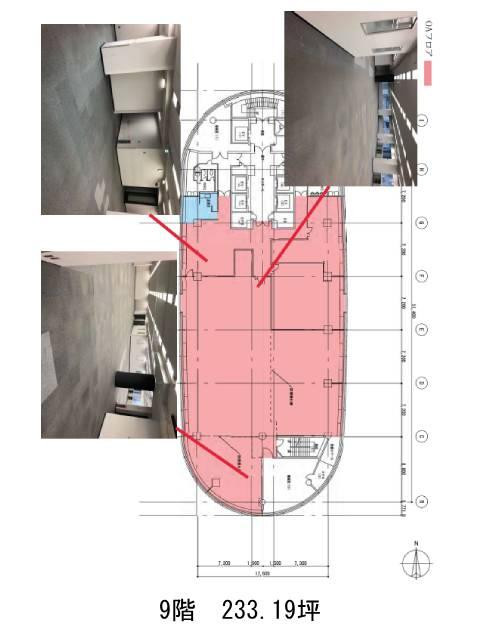 表示画像