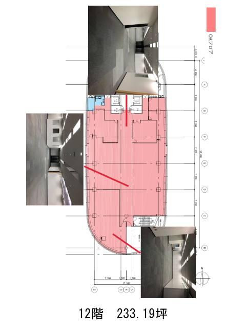 表示画像
