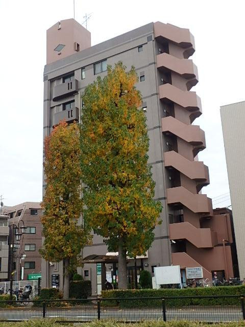 星野館ビル外観③