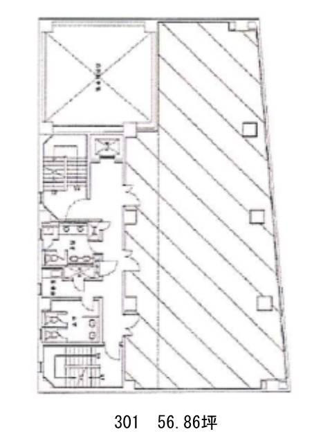 表示画像